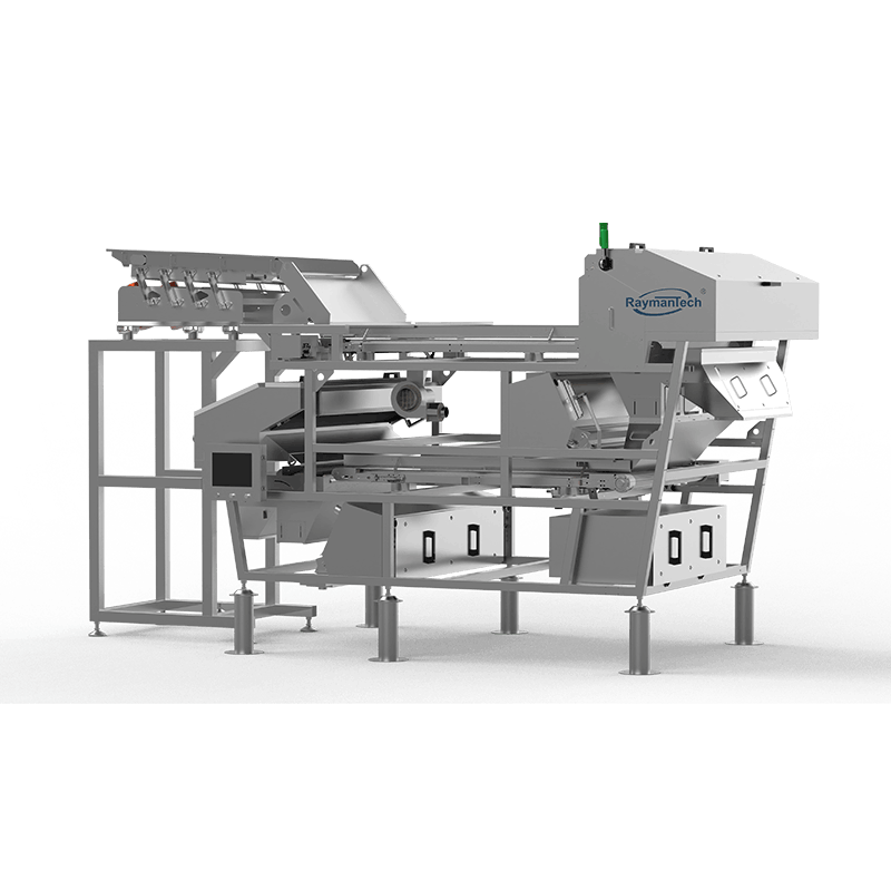 RaymanTech Double-Layer AI Standard Optical Sorter