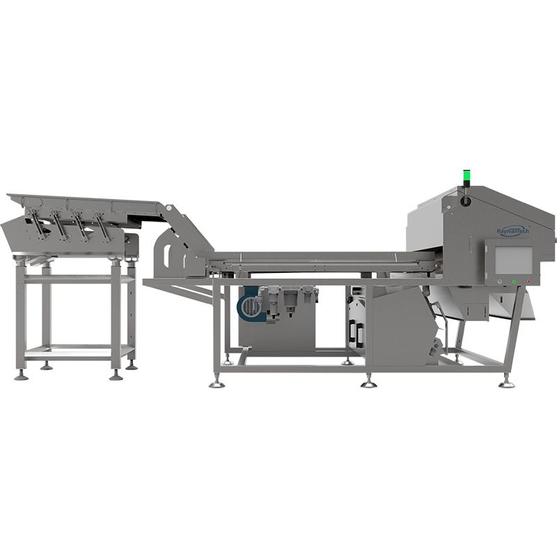 RAYMANTECH AI STANDARD SORTER